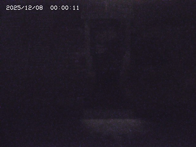 大路川２2025/12/08 11:20