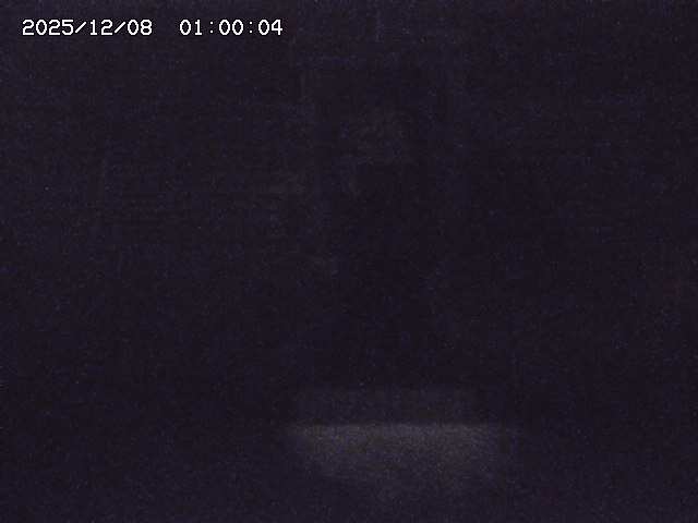 大路川２2025/12/08 11:20