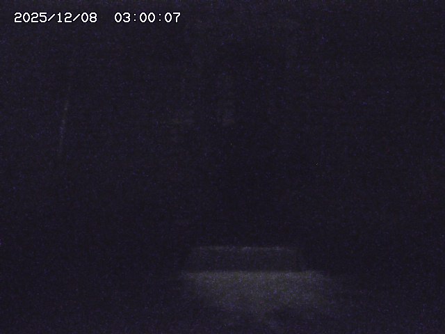 大路川２2025/12/08 11:20