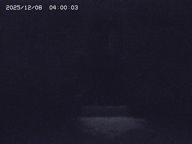 大路川２2025/12/08 11:20