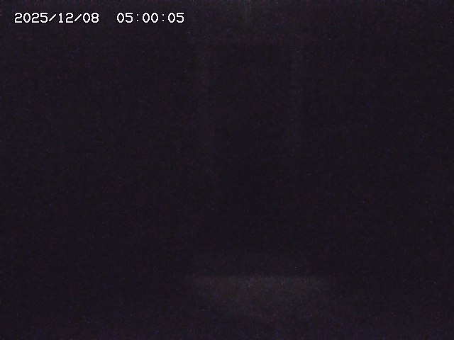 大路川２2025/12/08 11:20