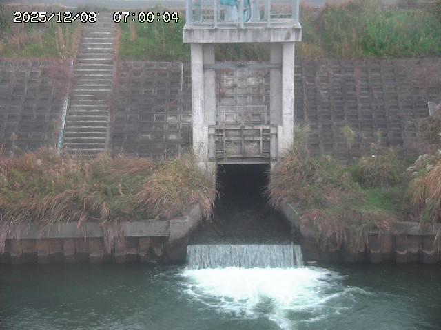 大路川２2025/12/08 11:20