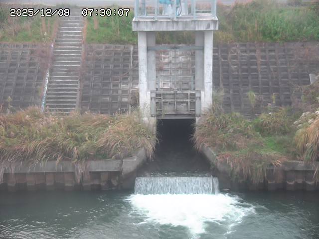 大路川２2025/12/08 11:20