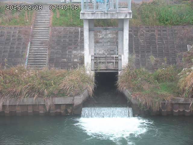 大路川２2025/12/08 11:20