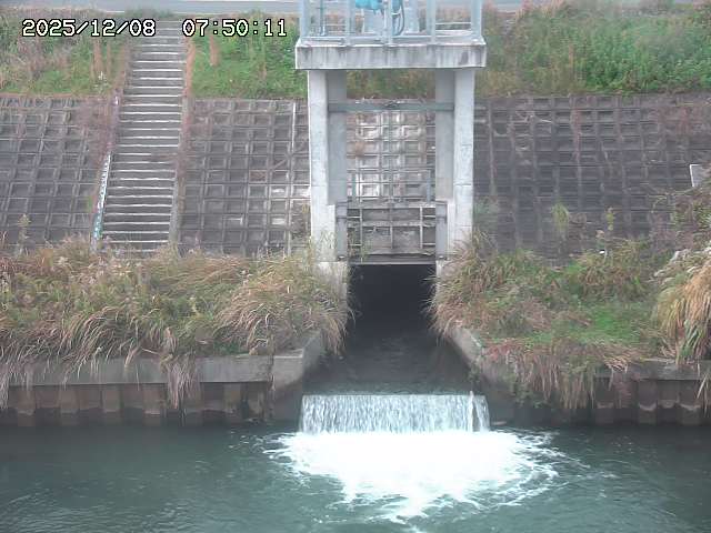 大路川２2025/12/08 11:20