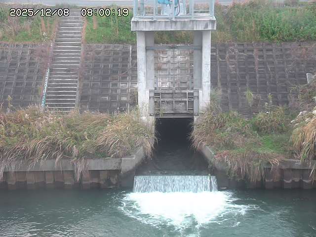 大路川２2025/12/08 11:20