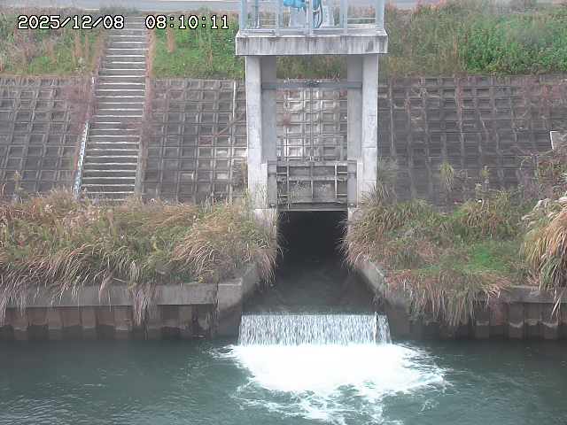 大路川２2025/12/08 11:20