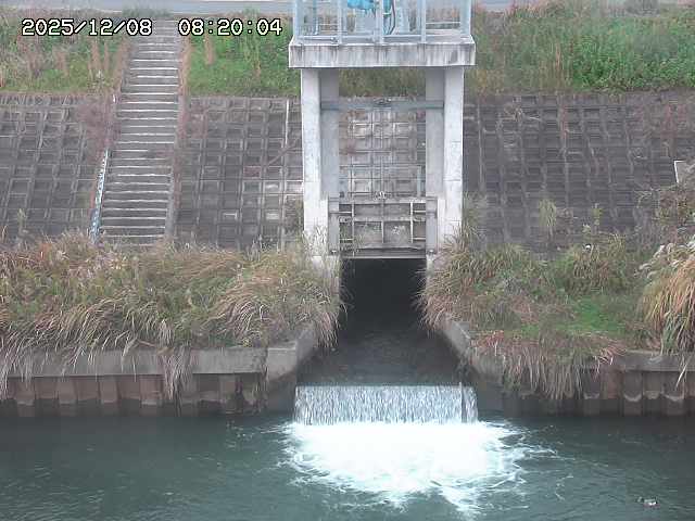 大路川２2025/12/08 11:20