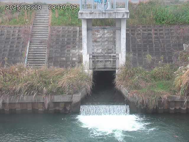 大路川２2025/12/08 11:20