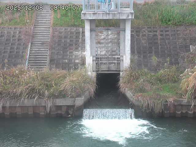 大路川２2025/12/08 11:20