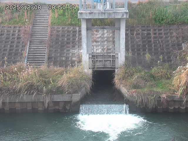 大路川２2025/12/08 11:20