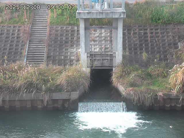 大路川２2025/12/08 11:20