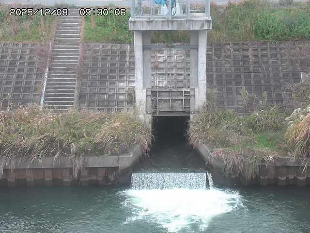 大路川２2025/12/08 11:20