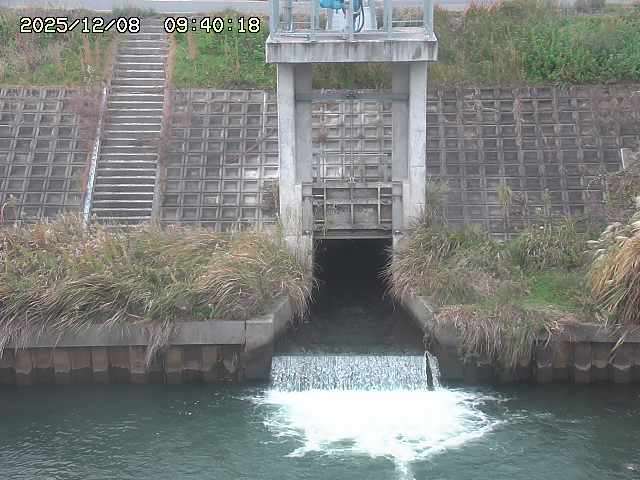 大路川２2025/12/08 11:20