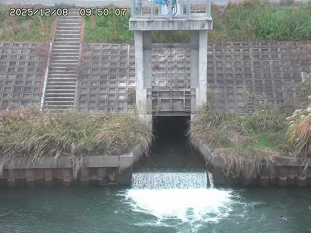 大路川２2025/12/08 11:20