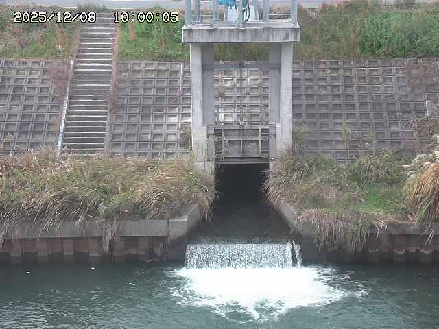 大路川２2025/12/08 11:20