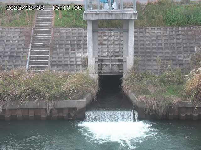 大路川２2025/12/08 11:20