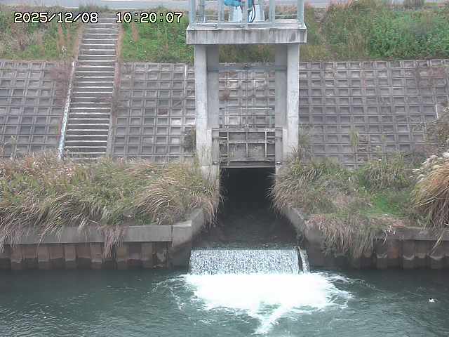 大路川２2025/12/08 11:20