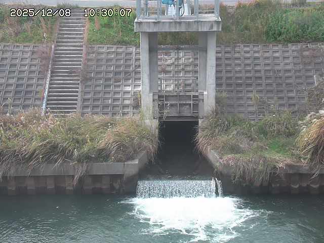 大路川２2025/12/08 11:20