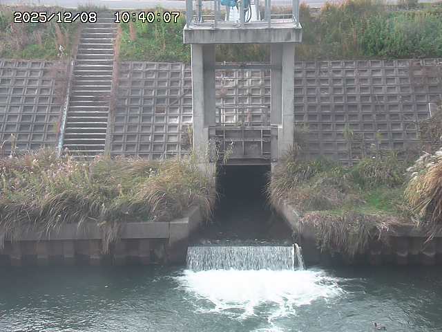 大路川２2025/12/08 11:20