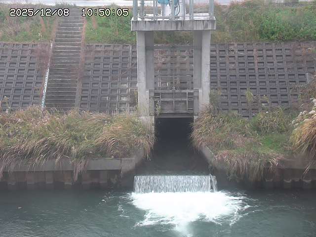 大路川２2025/12/08 11:20