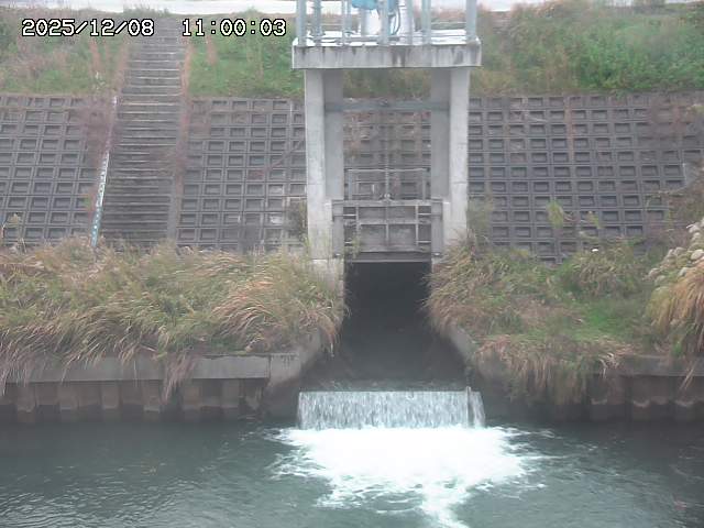 大路川２2025/12/08 11:20