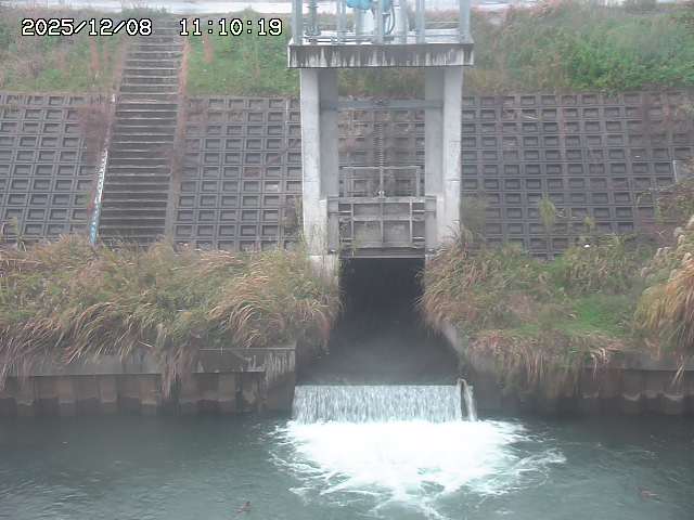 大路川２2025/12/08 11:20