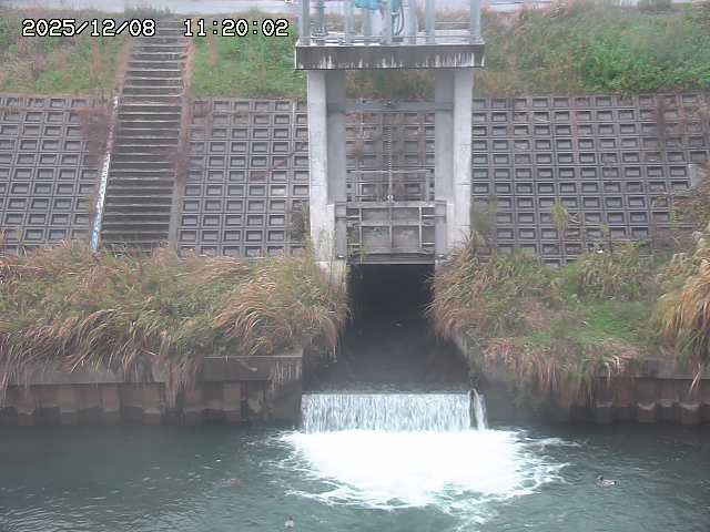 大路川２2025/12/08 11:20