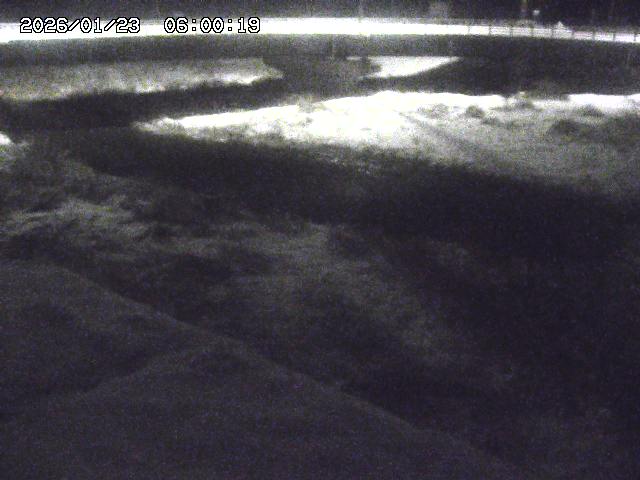 野坂川３2026/01/24 02:50
