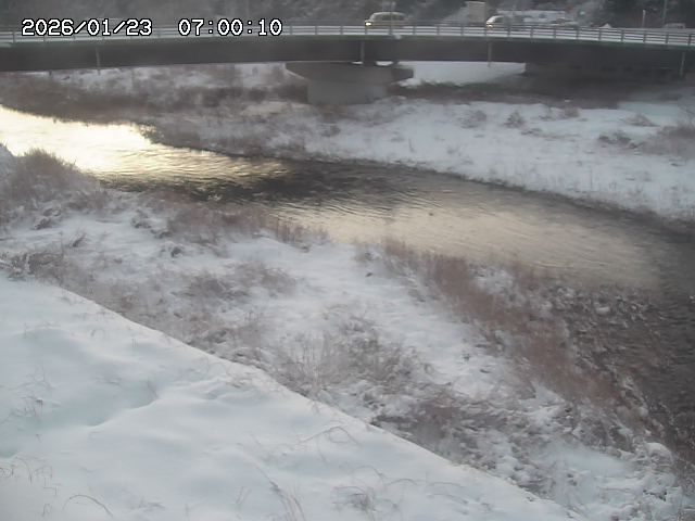 野坂川３2026/01/24 02:50