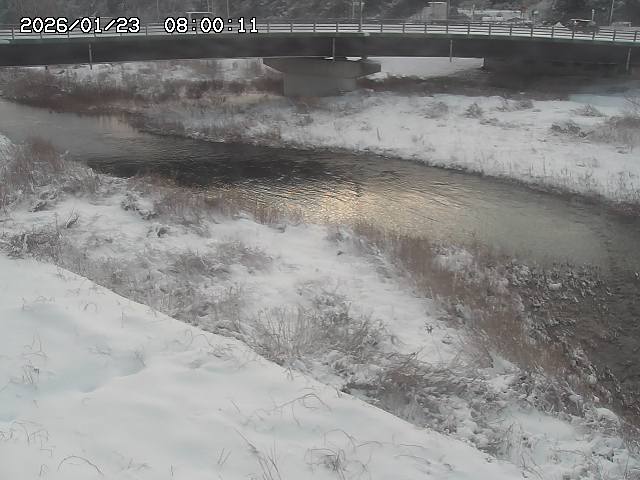 野坂川３2026/01/24 02:50