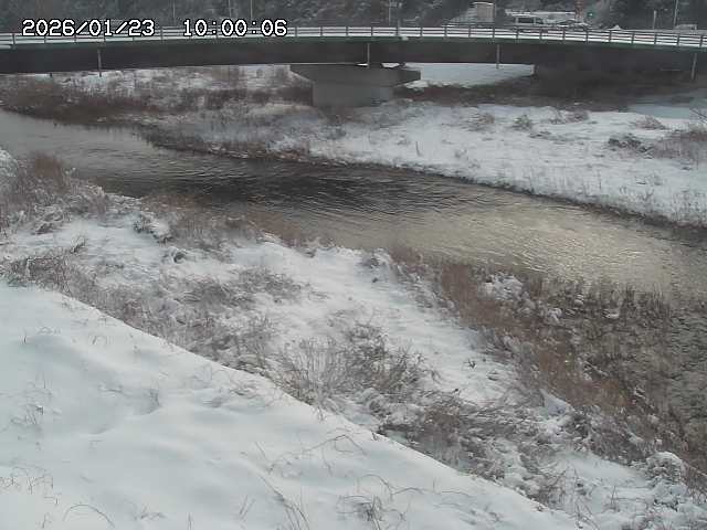 野坂川３2026/01/24 02:50