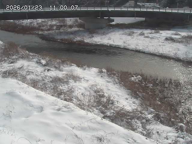 野坂川３2026/01/24 02:50