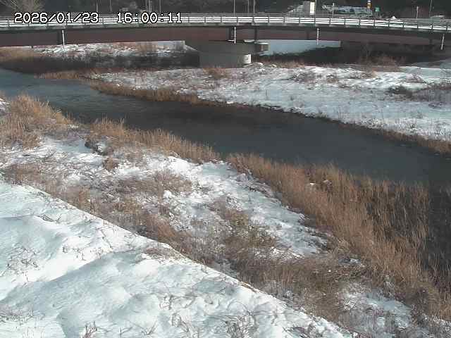 野坂川３2026/01/24 02:50