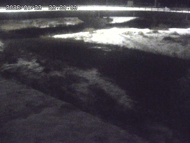 野坂川３2026/01/24 02:50