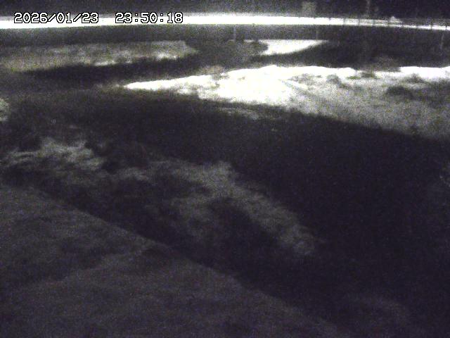 野坂川３2026/01/24 02:50