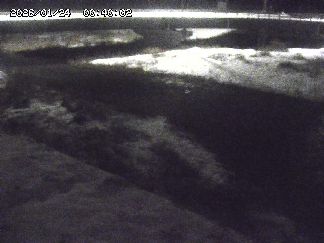 野坂川３2026/01/24 02:50