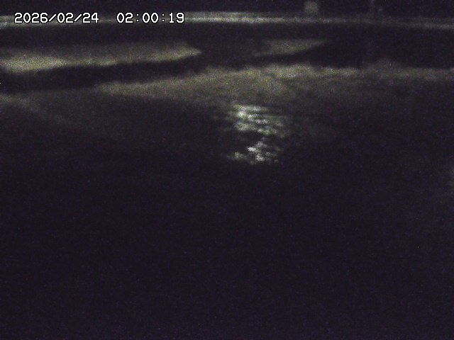 野坂川３2026/02/25 02:20