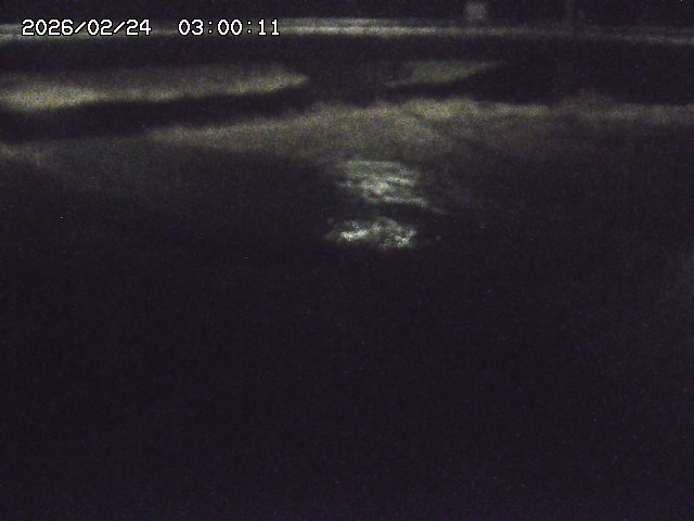 野坂川３2026/02/25 02:20