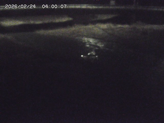 野坂川３2026/02/25 02:20