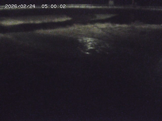 野坂川３2026/02/25 02:20