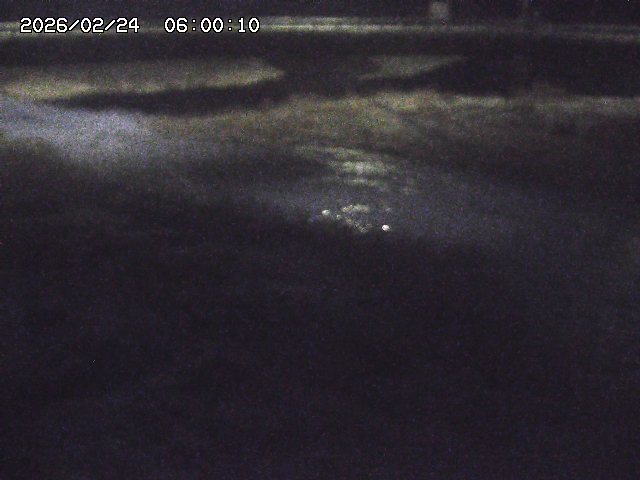 野坂川３2026/02/25 02:20