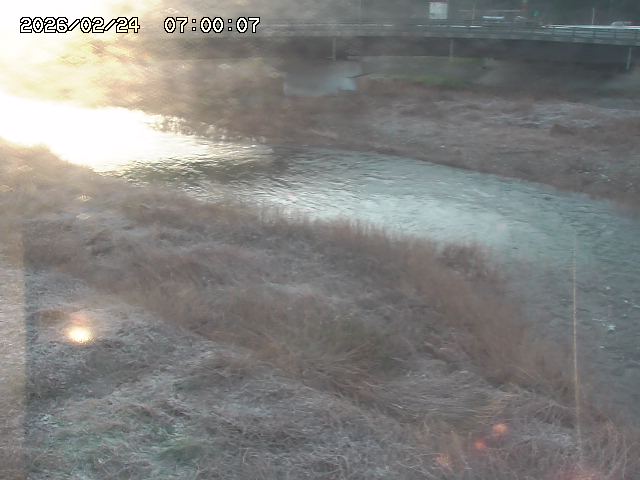 野坂川３2026/02/25 02:20