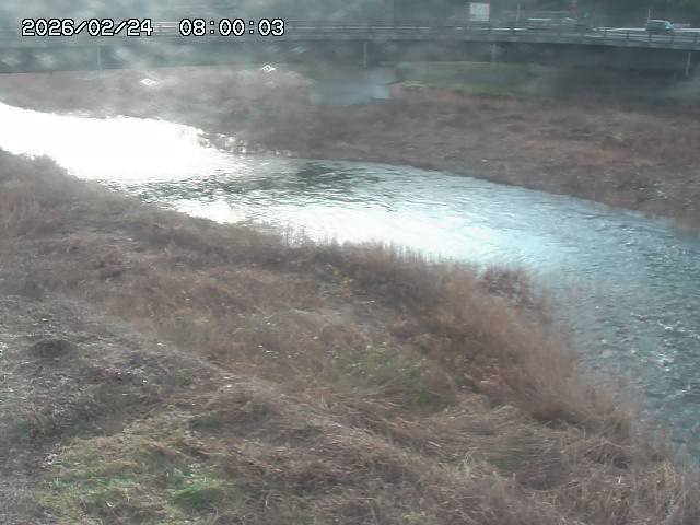 野坂川３2026/02/25 02:20