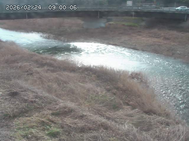 野坂川３2026/02/25 02:20