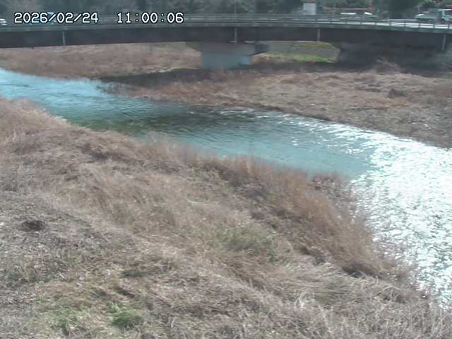 野坂川３2026/02/25 02:20