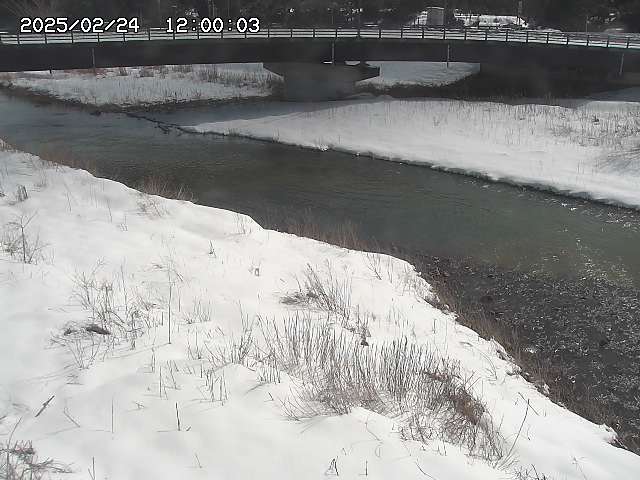 野坂川３2026/02/25 02:20