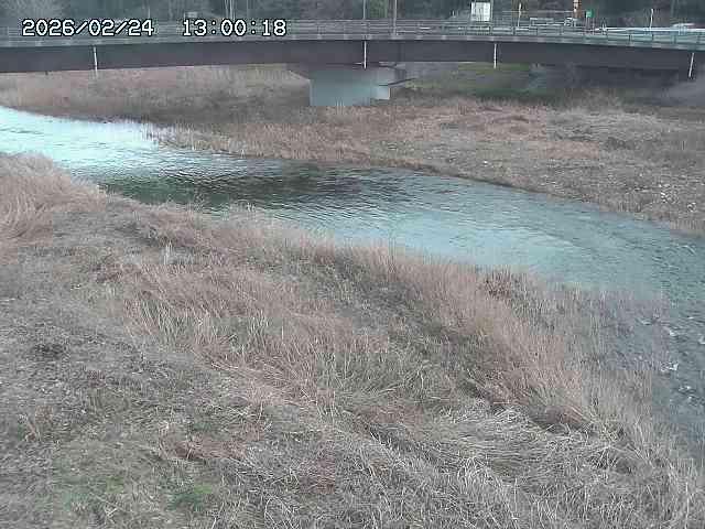 野坂川３2026/02/25 02:20