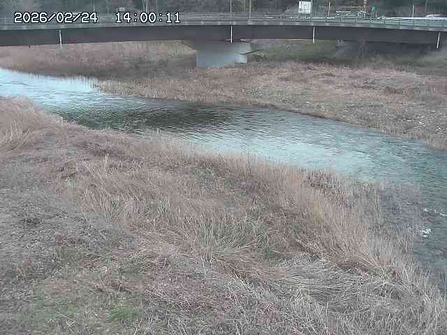 野坂川３2026/02/25 02:20