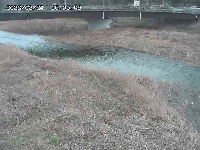 野坂川３2026/02/25 02:20